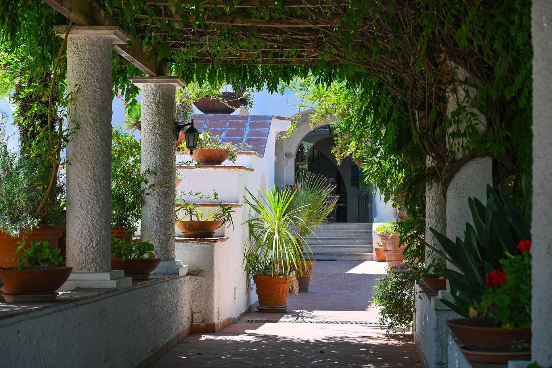 Av Club Terme Colella Hotel Forio  ภายนอก รูปภาพ
